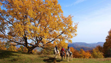 Spain-Catalonia-Bandalero Trail - Volcanoes, Mountains & Canyons